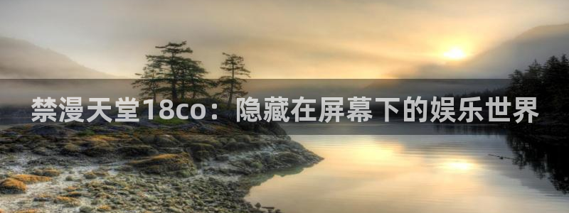 omofun网站网页版：禁漫天堂18co：隐藏在屏幕下的娱乐世界