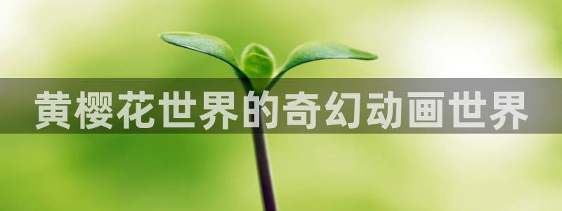 omofun2：黄樱花世界的奇幻动画世界