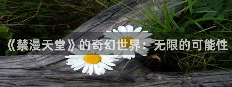omofun.cn：《禁漫天堂》的奇幻世界：无限的可能性