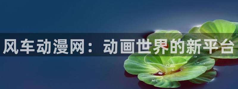 omofun动漫.：风车动漫网：动画世界的新平台