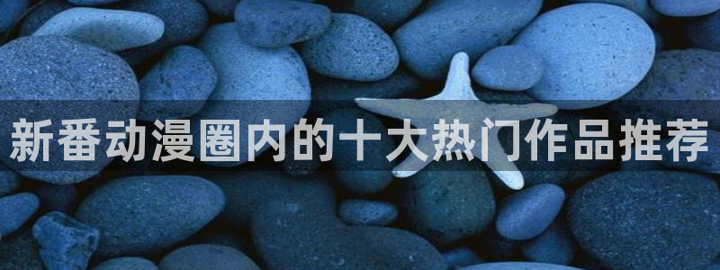 omofun动漫网站入口：新番动漫圈内的十大热门作品推荐