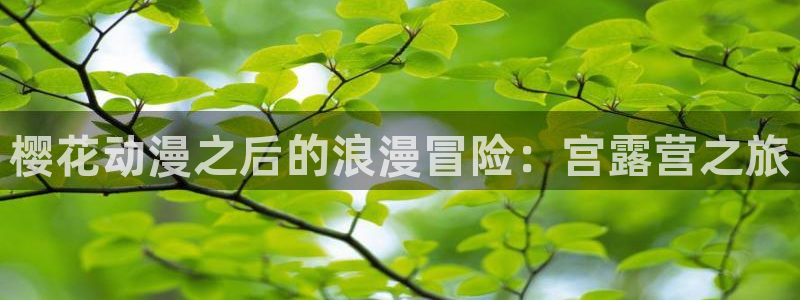 omofun动漫下载：樱花动漫之后的浪漫冒险：宫露营之旅
