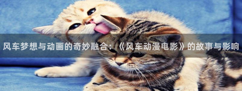 omofun动漫官网在线看：风车梦想与动画的奇妙融合：《风车动漫电影》的故事与影响