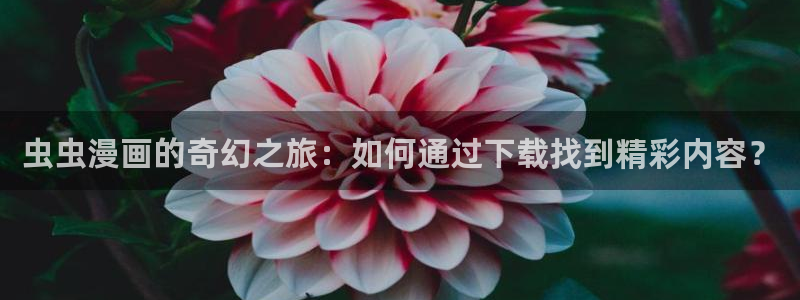 omofun网页版进入：虫虫漫画的奇幻之旅：如何通过下载找到精彩内容？