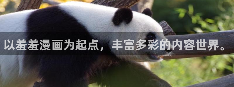 omofun老版本：以羞羞漫画为起点，丰富多彩的内容世界。