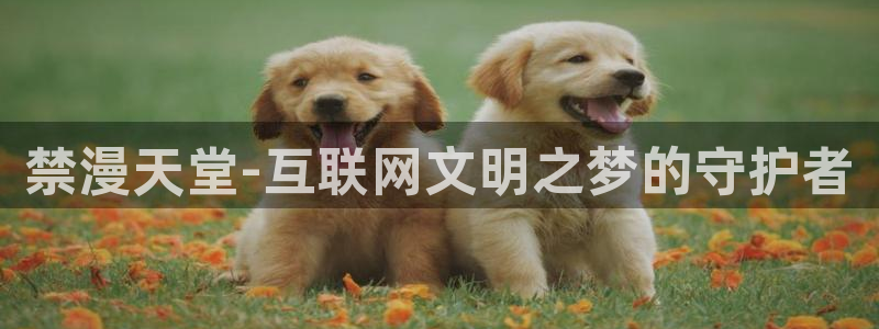 omofunpc：禁漫天堂-互联网文明之梦的守护者