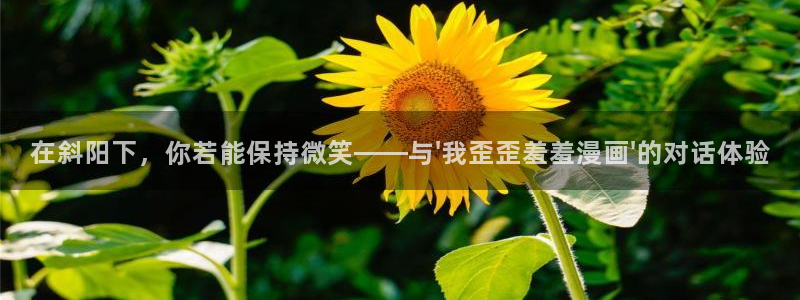 下载omofun动漫：在斜阳下，你若能保持微笑——与\'我歪歪羞羞漫画\'的对话体验