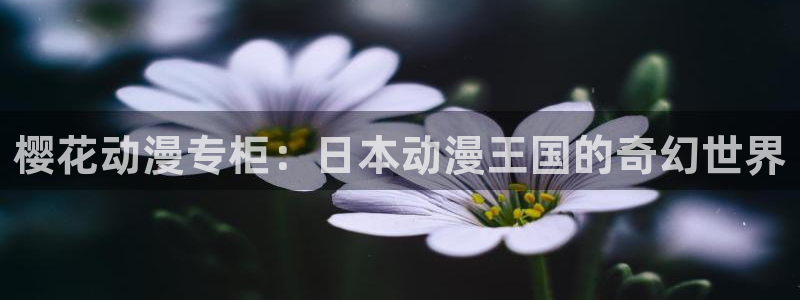 omofun怎么下：樱花动漫专柜：日本动漫王国的奇幻世界