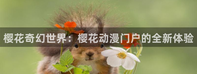 omofun动漫官方下载：樱花奇幻世界：樱花动漫门户的全新体验