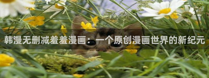 omofun更新